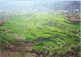 Sagada Gallery